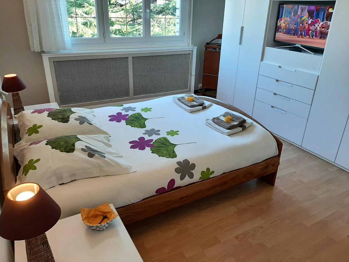 Villa Avec Piscine Proche Disneyland Et Paris Saint-Thibault-des-Vignes Εξωτερικό φωτογραφία
